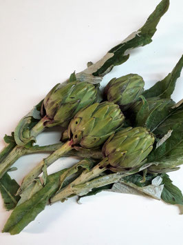 ALCACHOFA DE NAVARRA
