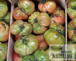 TOMATE ROSA SEGUNDA AURELIO