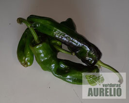 PIMIENTO VERDE DEL CRISTAL