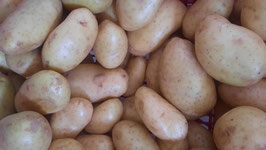 PATATA