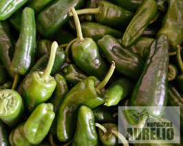 PIMIENTOS DEL PADRÓN