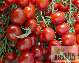 TOMATE CHERRY EN RAMA