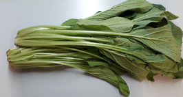BORRAJA FRESCA DE NAVARRA