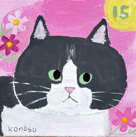 ONLINESHOP－nyanneー - チマホマ社へようこそ