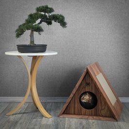 Triangle House