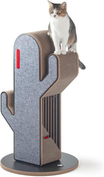 Design Kratzmöbel Kaktus
