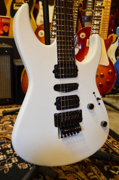 Edwards E-CY SWS