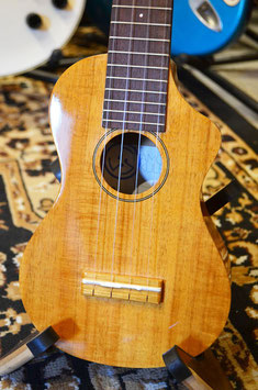 Famous FLS-5GC