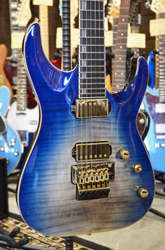 Edwards E-HORIZON-CTM 50TH