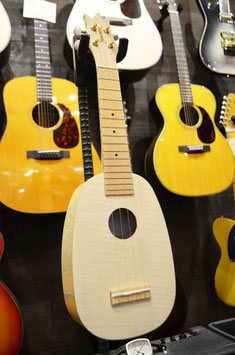 Famous FS-S10P/N