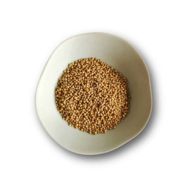 Moutarde blonde BIO