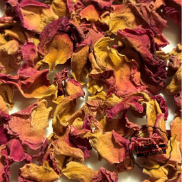 Pétales de rose