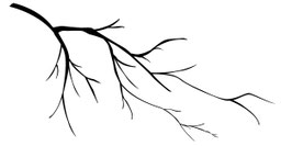 Ast für alle Jahreszeiten maxi - B-Ware