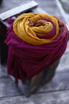 Scarf hibiscus