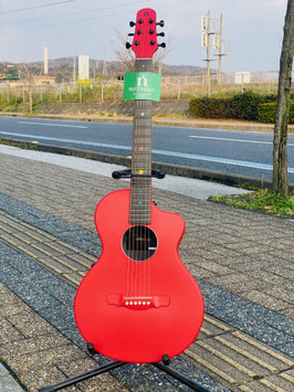新品 NATASHA ASTERROID