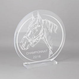 Trophée sportif équitation