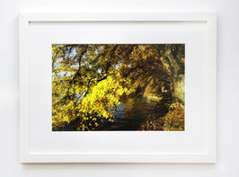 "Herbst im Lindenhofpark"