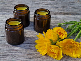 Pflege aus der Pflanzenküche – Naturkosmetik für den Winter l Tageskurs: Samstag, 24.10.2026 von 10–16 Uhr, Altenhof