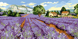 932 120 CAMPO DI LAVANDA