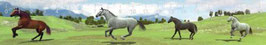 authentic RULER Galoppierende Pferde (Lineal)