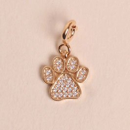 CHARM DOG