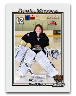 e) Trading Cards (9 cards )