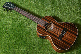 ★SOLD★NEW/KALA KA-EBY-TE Tenor