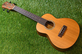 NEW/aNueNue aNN-C4 Concert