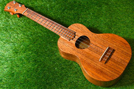 ★HOLD★USED/KoAloha KCM-00 Concert【USED/2014年】