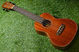 NEW/DCT DUC-600M Concert