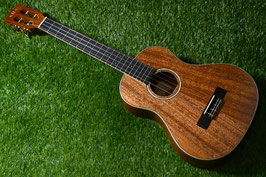 ★SOLD★NEW/KALA KA-AMHG-ST SuperTenor