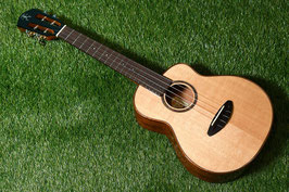 NEW/aNueNue UT100 Tenor