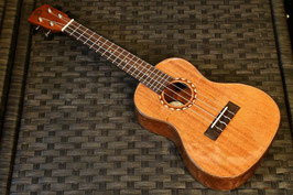 ★SOLD★NEW/DCT DUC-600M Concert