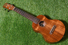 USED/KIWAYA KPC-1K Concert【USED】