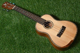 ★SOLD★NEW/DCT DUC-450 Concert