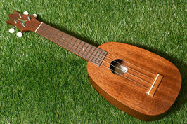 NEW/Famous FS-2PG Soprano Pineapple