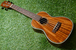 NEW/DCT DUC-150K Concert