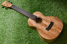 ★SOLD★NEW/DCT KOKOMO-6 Concert