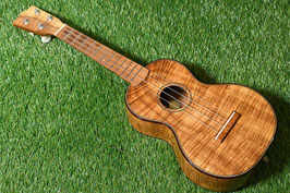 ★HOLD★USED/PALM TREE Concert Hawaiian Koa【USED】