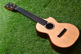 NEW/tkitki ukulele C-14RC B.C.Sitka.S/Rosewood Concert【S/N1254】