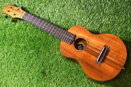 ★SOLD★NEW/KIWAYA KPC-1K Concert