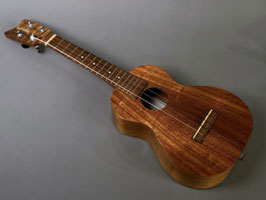 USED/Kamaka HF-2 Concert【USED/2009年】