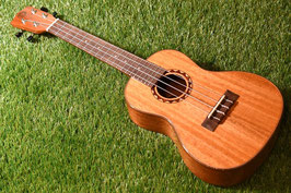 NEW/DCT DUC-600M Concert