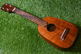 USED/Ceniza Pineapple SopranoLongneck【USED】