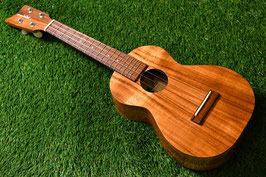 USED/Kamaka HF-2 Cocnert【USED/2007年】
