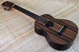 NEW/Seilen SLTS-890Srw/cst Tenor