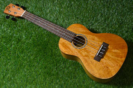 ★SOLD★NEW/DCT DUC-200MG-2 Concert