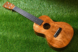 NEW/tkitki ukulele ECO-C+/Hawaiian Koa Concert 【S/N1NEW/1577】