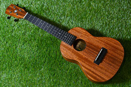 NEW/Millar CPA-E Concert【S/N 040】