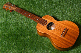 USED/KoAloha KCM-00 Concert【USED/2008年】